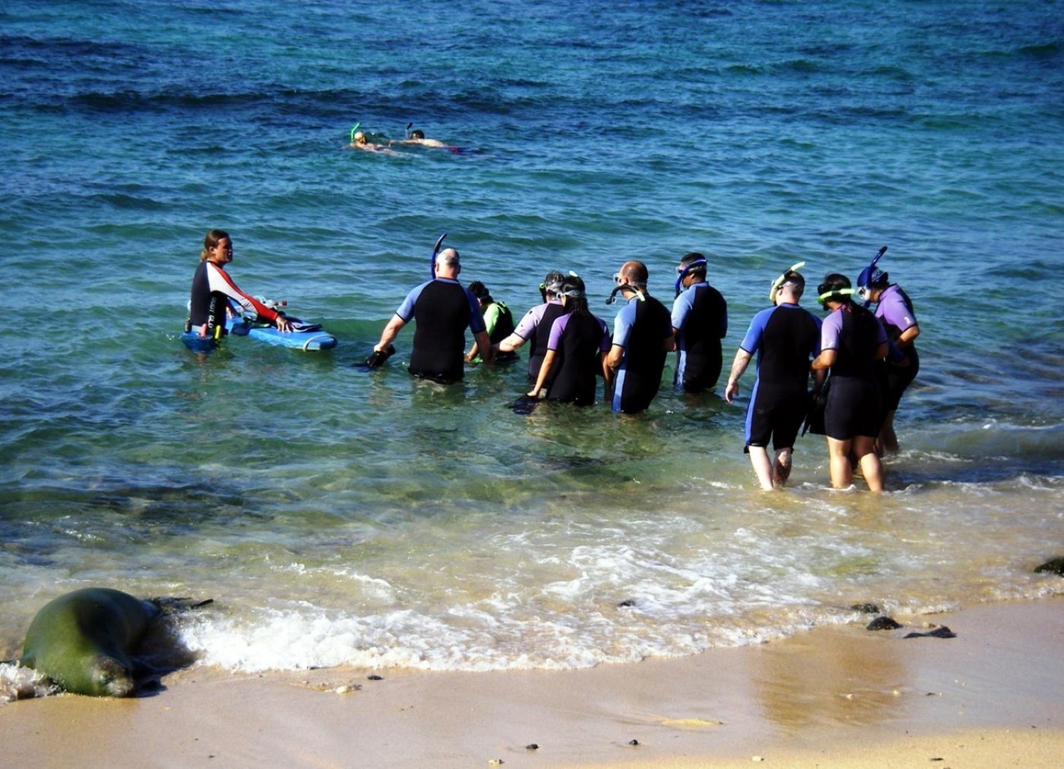 carnival shore excursions kauai